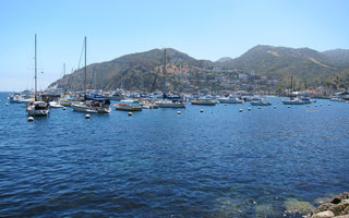 Santa Catalina Fishing