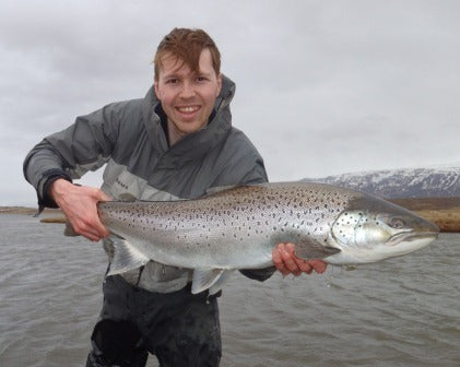 Introducing the Gray Seatrout