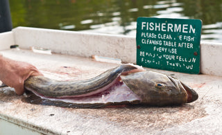 "Catch of the Month" February Recipe - Grouper Parmesan