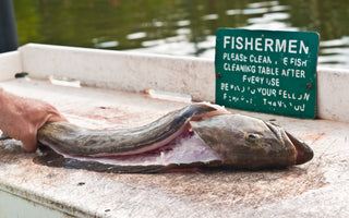 "Catch of the Month" February Recipe - Grouper Parmesan