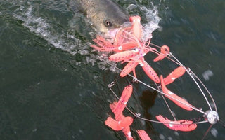 Using Dredge Rigs to Increase Your Catch