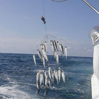 dredge fishing accessories Boom Setup, 8ft with Safety Tie Back Black the thrill of dropping back a bait to a hungry and frustrated marlin is the ultimate rush Fish Razr Tackle Stickz Dredge