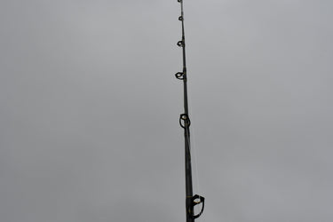 bottom fishing pole Pro Jigging 2pc. Fishing Rod