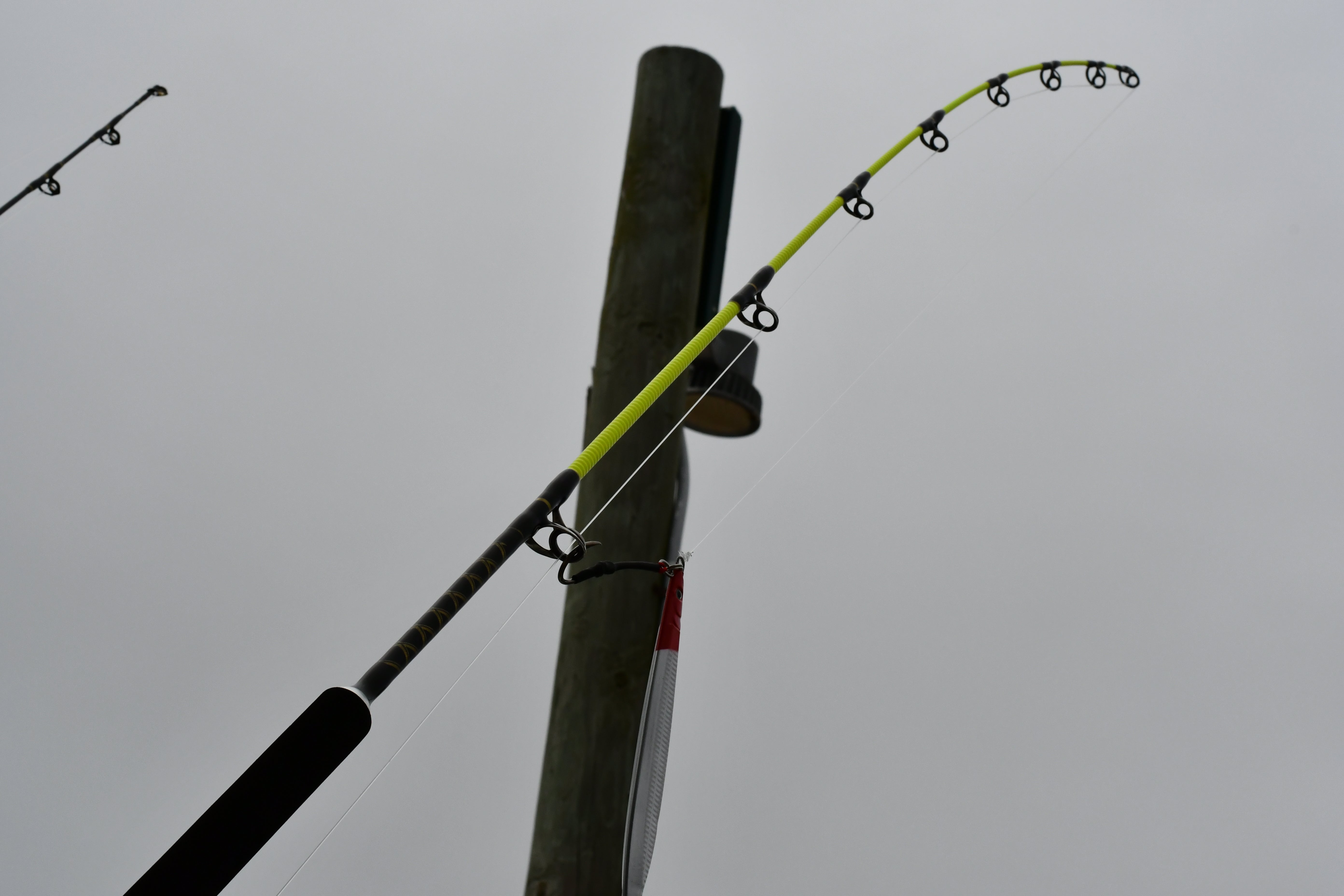 Pelagic Pro Jigging Rod – Eat My Tackle