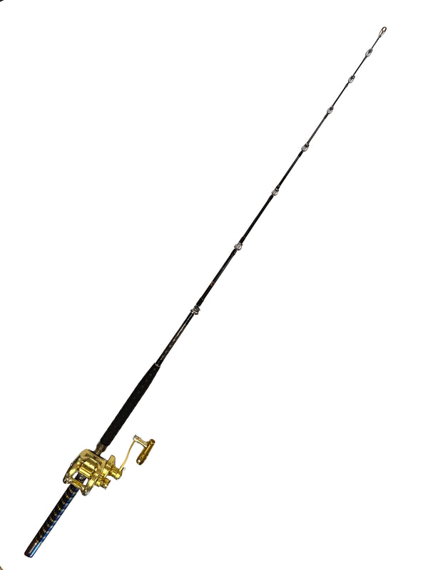 Extractor Lever Drag Conventional Rod and Reel Combo