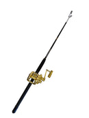 Kite Fishing Combo | 18w 2 Speed Reel w/ Swivel Tip Rod