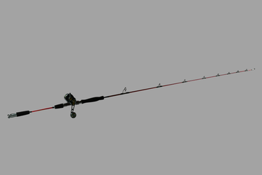 Snapper Whacker Jigging Combo