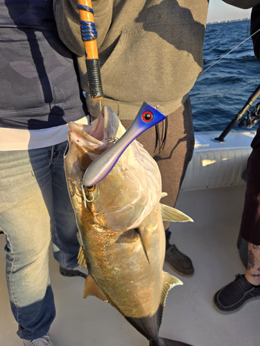 fishing gear pelagic Pelagic Popper
