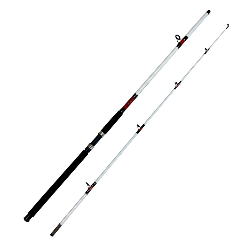 Surf Fisher Long Cast White Beast Spinning Combo
