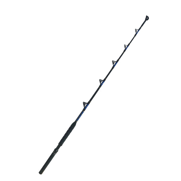  Saltwater Fishing Rods