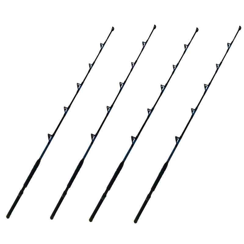 All Roller Guide Boat Rod | Saltwater Fishing Rod, Fishing Rods - Eat ...